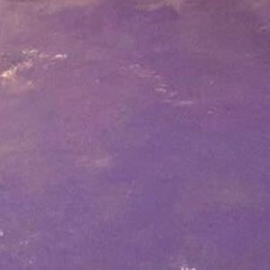 Meet your Posher, Torrie